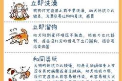 备孕不能养狗狗是真的吗