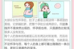 怀孕时为何有的孕反有的不