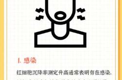 婴儿红细胞有什么特点