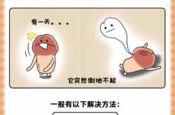 男性备孕能练倒立吗