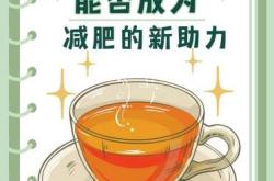 怀孕能否喝祛湿茶