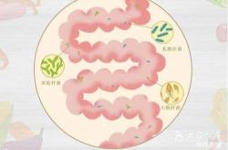 剖腹产后老是拉肚子是咋回事