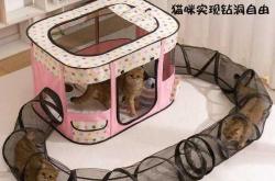 小猫咪待产包怎么选