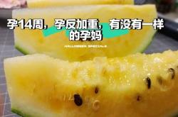 孕几周孕反开始减弱