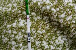 备孕梦鸡会怀孕吗