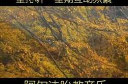 胎教音乐听时有何要求