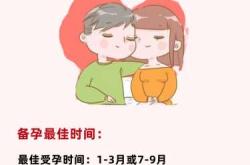 最聪明的备孕时间是多久