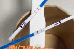 备孕期间能否检测幽门螺杆菌