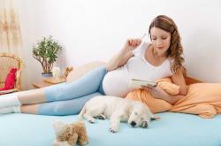 郑州胎教都有哪些好的方法