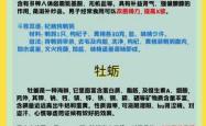备孕男人中午适合吃什么