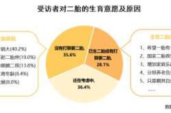 二胎教育问题如何解决