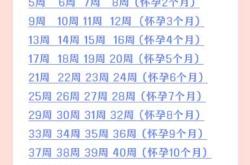 17周孕反还在正常吗