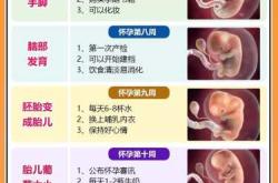 孕四周有哪些明显孕反表现