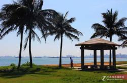 假日海滩胎教音乐视频有啥