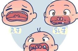 婴儿马牙图片啥样可看看