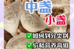 备孕燕窝一次吃多少合适