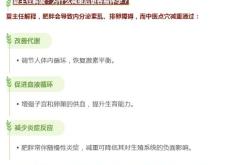 为什么备孕不能减脂