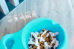 怀孕狗狗能打针吗