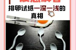备孕每天要用试纸吗