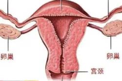 备孕人梦到老公是别人咋回事