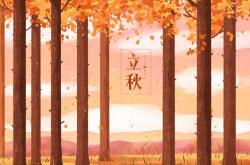 卯月子是什么有啥说法