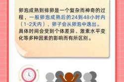 促卵泡低于促黄体备孕怎么办