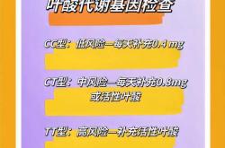 备孕叶酸代谢是什么意思