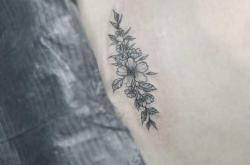 剖腹产疤痕纹身羽毛可行吗