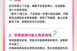 尿道感染影响备孕吗