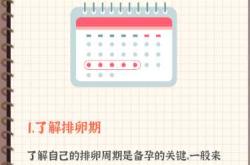 备孕排卵期安排几天最佳