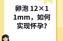 为什么备孕要查卵泡监测