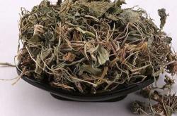 备孕能用紫花地丁吗