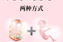 男士一定要备孕吗