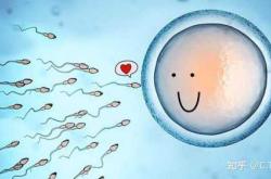 怀孕真的需要备孕吗在知乎