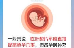 备孕什么时候开始吃叶酸