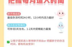 备孕需要每天都同房吗