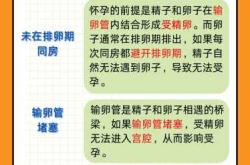 备孕同房到哪天够了