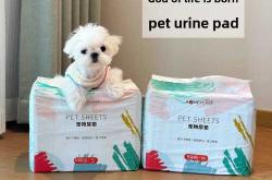 法斗能用尿不湿吗