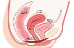 产后阴道有哪些变化