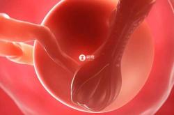 剖腹产第三次有危险吗