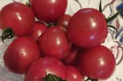 孕反期间能吃番茄吗