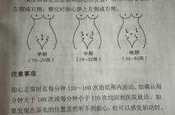 一般几周孕反会彻底消失