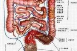 结肠炎治疗多久能备孕