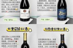 男的备孕期间能喝红酒吗