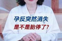 孕反消失胃口好正常吗