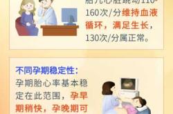 怀孕多久能查出胎心