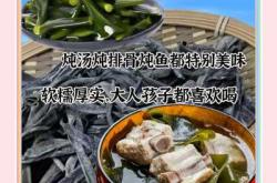 备孕每天吃海带好不好