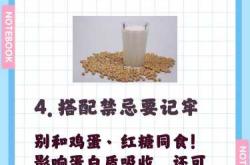 男性备孕期间能喝豆浆吗