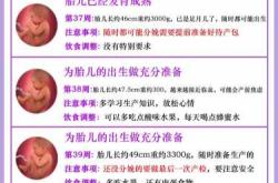 孕十四周怎么胎教才有效