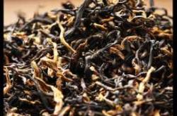 桐木关红茶备孕能否喝